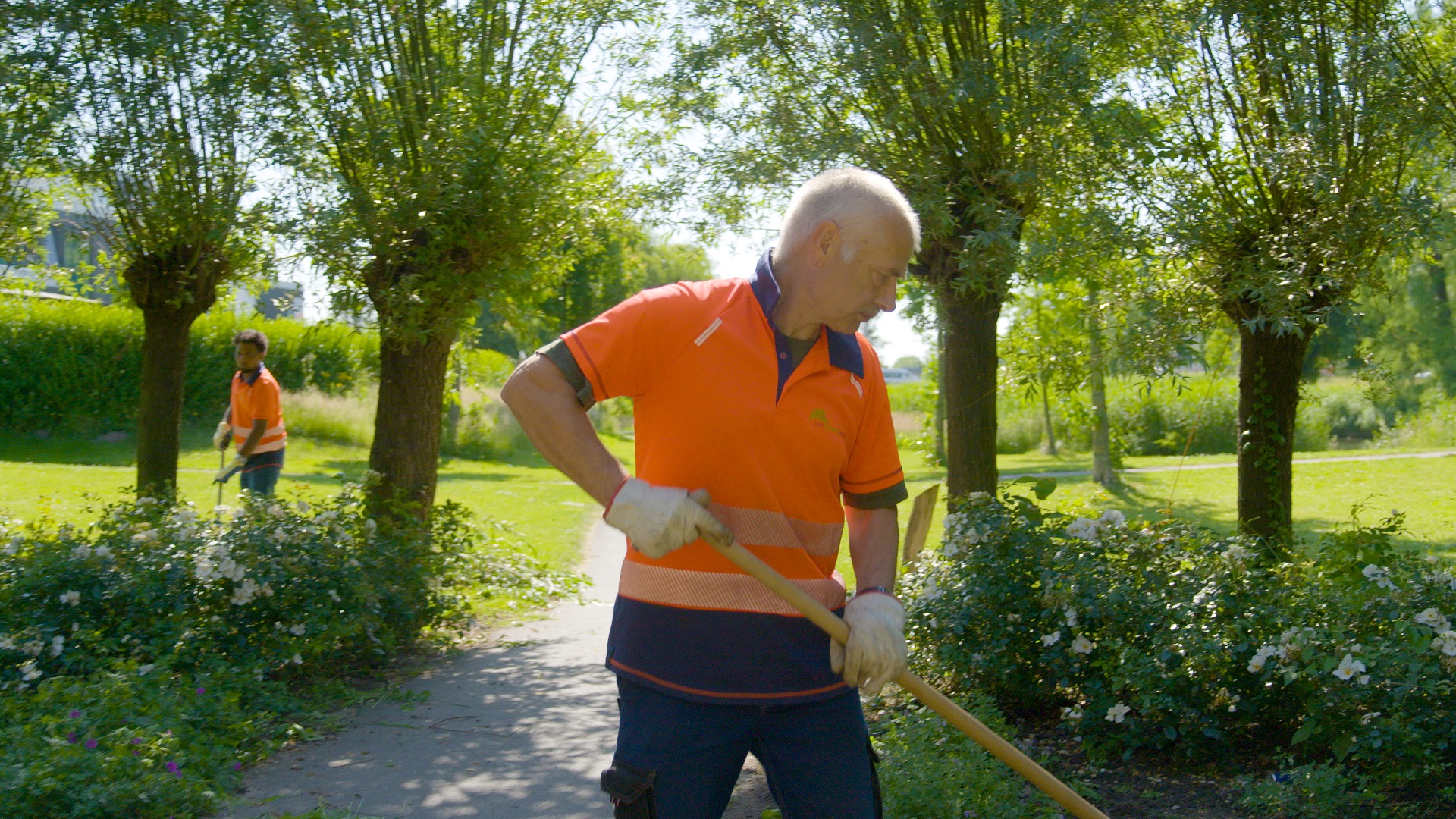 Collega groenonderhoud